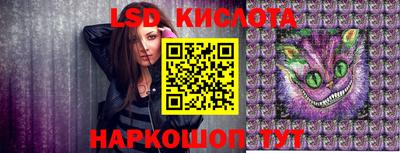 прущие грибы Краснознаменск