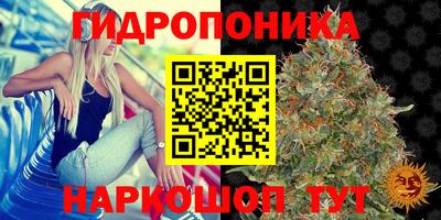 МДПВ Краснодар