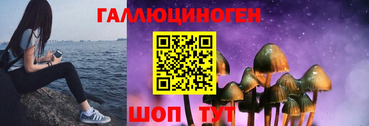 Галлюциногенные грибы Psilocybine cubensis Пугачёв